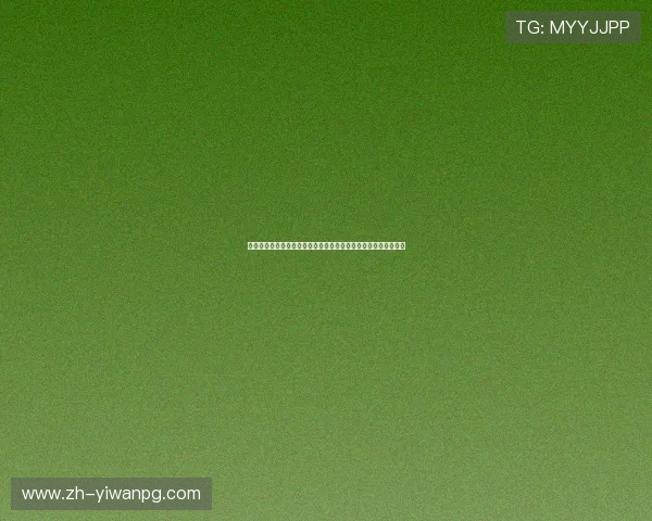 新利真人平台打造沉浸式世界杯体验，实时更新比赛最新战况分析